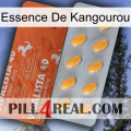 Kangaroo Essence 43